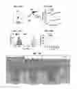 Fig. 20 - Nanocrystals, compositions, and methods that aid particle transport in mucus