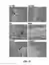 Fig. 29 - Nanocrystals, compositions, and methods that aid particle transport in mucus