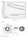 Fig. 07 - STIMULUS-RESPONSIVE CORE-SHELL PARTICLES
