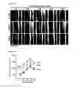 Fig. 03 - Threonate compounds and methods of use thereof