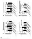 Fig. 08 - Gentisic acid is used to improve systemic hemodynamics, hepatic mitochondrial function and lactate acidemia in patients with septic shock