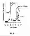 Fig. 05 - COMPOSITIONS AND METHODS FOR TREATING MACULAR DEGENERATION