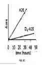 Fig. 06 - COMPOSITIONS AND METHODS FOR TREATING MACULAR DEGENERATION