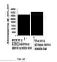 Fig. 11 - COMPOSITIONS AND METHODS FOR TREATING MACULAR DEGENERATION