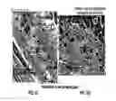Fig. 13 - COMPOSITIONS AND METHODS FOR TREATING MACULAR DEGENERATION