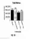 Fig. 15 - COMPOSITIONS AND METHODS FOR TREATING MACULAR DEGENERATION