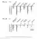 Fig. 03 - Compositions and methods for lowering triglycerides without raising LDL-C levels in a subject on concomitant statin therapy