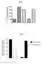 Fig. 02 - COMPOSITIONS COMPRISING NICOTINIC AGONISTS AND METHODS OF USING SAME
