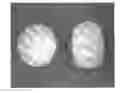 Fig. 01 - Tamper resistant dosage forms