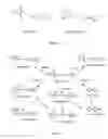 Fig. 02 - Use of buspirone metabolites