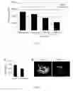Fig. 04 - MEDICINAL COMPOSITION INHIBITING NEOVASCULARIZATION PROLIFERATION FACTOR