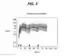 Fig. 04 - DOSING REGIMEN ASSOCIATED WITH LONG ACTING INJECTABLE PALIPERIDONE ESTERS