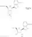 Fig. 44 - COMPOSITIONS AND METHODS FOR INHIBITING VIRAL POLYMERASE
