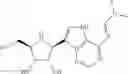 Fig. 80 - COMPOSITIONS AND METHODS FOR INHIBITING VIRAL POLYMERASE