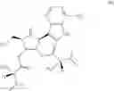 Fig. 85 - COMPOSITIONS AND METHODS FOR INHIBITING VIRAL POLYMERASE