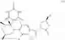 Fig. 10 - Compounds and methods for treating bacterial infections