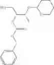 Fig. 293 - Compounds and methods for treating bacterial infections