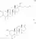 Fig. 26 - SHIP INHIBITION TO INDUCE EXPRESSION OF GRANULOCYTE COLONY STIMULATING FACTOR IN A SUBJECT