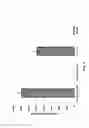 Fig. 05 - Method for treating cancer using chemokine antagonists