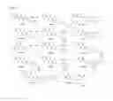 Fig. 07 - Method for treating cancer using chemokine antagonists