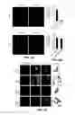 Fig. 04 - COMPOSITIONS AND METHODS FOR PREVENTING AND TREATING ORGAN INJURY AND/OR DYSFUNCTION