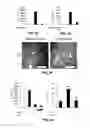 Fig. 05 - COMPOSITIONS AND METHODS FOR PREVENTING AND TREATING ORGAN INJURY AND/OR DYSFUNCTION