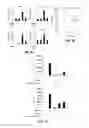Fig. 07 - COMPOSITIONS AND METHODS FOR PREVENTING AND TREATING ORGAN INJURY AND/OR DYSFUNCTION