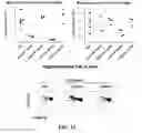 Fig. 13 - Composition for inhibiting myeloid-derived suppressor cells comprising decitabine or its pharmaceutically acceptable salt as active ingredient