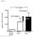 Fig. 21 - Method for obtaining globally activated monocytes