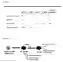 Fig. 24 - Method for obtaining globally activated monocytes