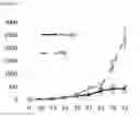 Fig. 30 - Method for obtaining globally activated monocytes