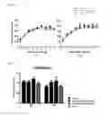 Fig. 06 - Nutritional compositions for promoting gut barrier function and ameliorating visceral pain