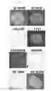 Fig. 03 - Bacteriophage and antibacterial composition comprising the same