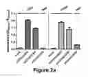 Fig. 03 - RNA viruses for immunovirotherapy