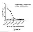 Fig. 07 - RNA viruses for immunovirotherapy