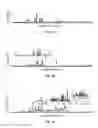Fig. 02 - Method of isolating sphingolipids from cordyceps and their use