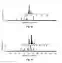 Fig. 03 - Method of isolating sphingolipids from cordyceps and their use