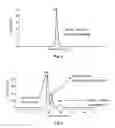 Fig. 04 - Method of isolating sphingolipids from cordyceps and their use