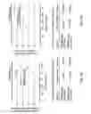 Fig. 08 - METHODS AND MATERIALS FOR IDENTIFYING AND TREATING MAMMALS RESISTANT TO PROTEASOME INHIBITOR TREATMENTS