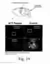 Fig. 08 - Compositions and methods for promoting wound healing and tissue regeneration