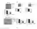 Fig. 04 - Cell-permeable peptide system for treating diseases caused by glutamate excitotoxicity
