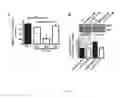 Fig. 05 - Cell-permeable peptide system for treating diseases caused by glutamate excitotoxicity