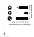 Fig. 05 - STEM CELL DERIVED FACTORS FOR TREATING PATHOLOGIC CONDITIONS