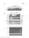 Fig. 07 - Protection against stress-mediated damage from ionizing radiation