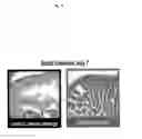 Fig. 16 - Protection against stress-mediated damage from ionizing radiation