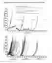 Fig. 19 - IL-2Rβ-selective agonists in combination with an anti-CTLA-4 antibody or an anti-PD-1 antibody
