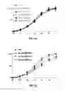 Fig. 05 - Exenatide analogue and use thereof