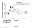 Fig. 29 - Exenatide analogue and use thereof
