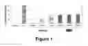 Fig. 02 - Therapeutic charge engineered variants of lysozyme and methods for using same to treat infections
