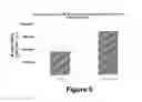 Fig. 05 - Therapeutic charge engineered variants of lysozyme and methods for using same to treat infections